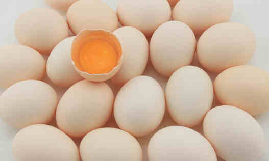得了肝病能不能吃雞蛋