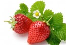 春季吃草莓可能有哪些壞處？