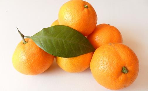 冬天吃橘子切記不宜多吃