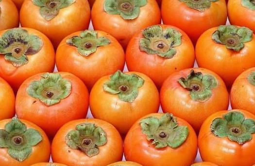 柿子不宜空腹吃 盤點吃柿子的12個禁忌