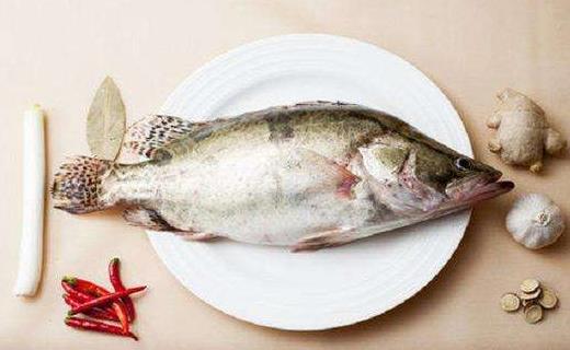不同種類的魚該如何烹調？