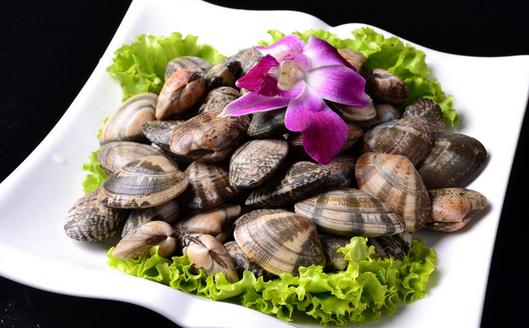 花蛤的營養價值 花蛤的做法