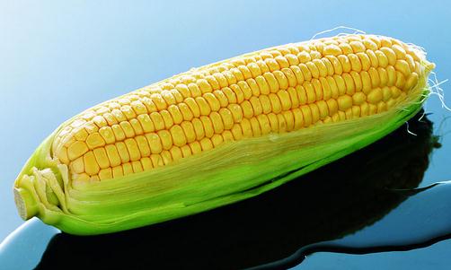 玉米的功效 玉米排骨湯的做法