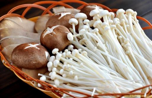 7種蘑菇的家常烹饪竅門
