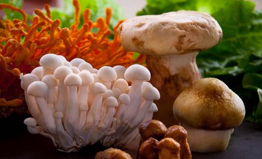 烹饪菌類有講究 鮮味保留又營養