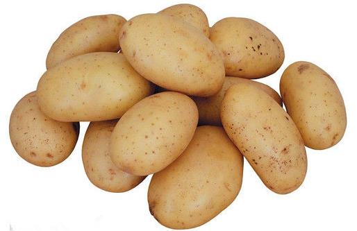 土豆營養價值高 土豆的做菜的竅門
