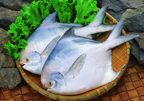 紅燒鲳魚的做法-清蒸鲳魚的做法