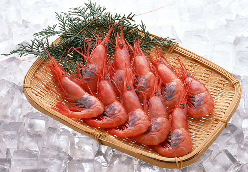 海蝦的家常做法-海蝦和河蝦的區別