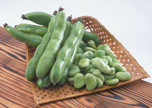 蠶豆的做法-蠶豆的營養價值