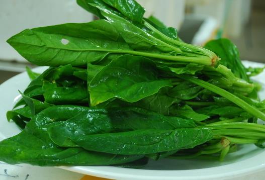 菠菜怎麼吃更有營養？菠菜怎麼吃更健康