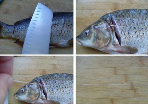 怎樣去除鯉魚的土腥味？鯉魚去除土腥味的方法