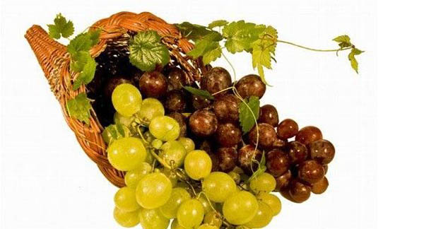 葡萄這樣吃容易生病