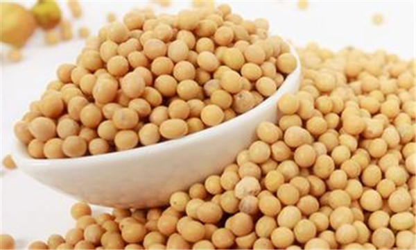 吃點大豆有助於預防和控制高血壓