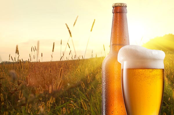 啤酒肚跟啤酒喝多有關系嗎？