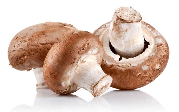 味美還頂飽 蘑菇不輸牛肉
