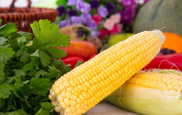 哪種玉米更營養？怎麼吃最好？