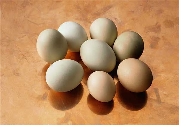 四類人切記不要吃雞蛋,哪些人不能吃雞蛋