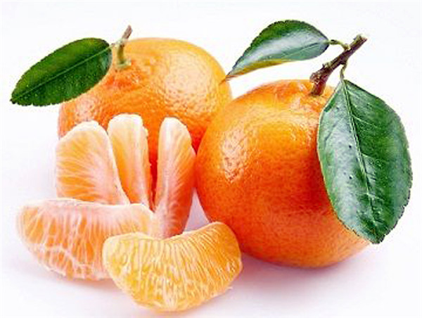 飲食小常識：柑橘類等水果並無公母之分