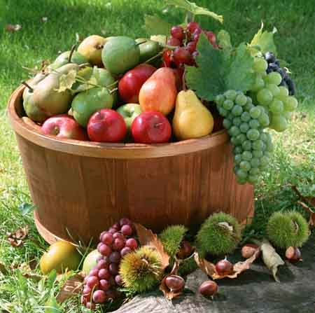 生什麼病吃什麼水果,水果治療生病常識