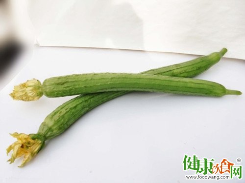 絲瓜是盛夏時節美容療疾佳蔬