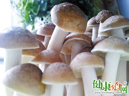 春天吃什麼菜？春天吃菌菇符合季節養生的需要