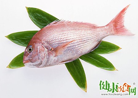 春天吃什麼？春季進補不妨吃點魚