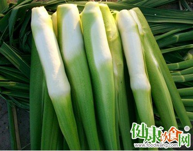 冬天吃什麼菜好？冬季宜吃這5種蔬菜