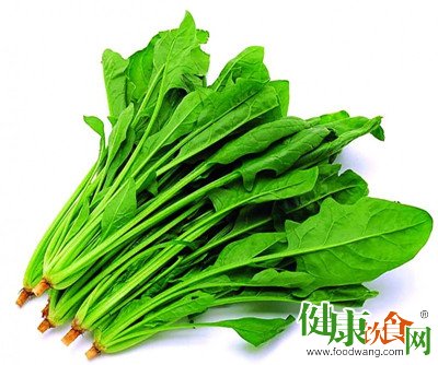 冬天吃什麼好?冬天常吃這五菜能清火潤肺