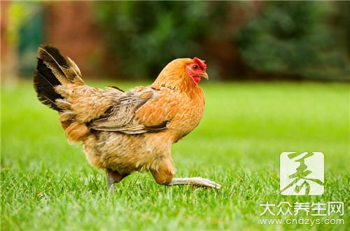 食物越貴越好？這些個營養誤區坑死人(1)