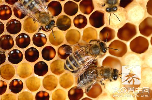 蜂膠不適宜人群有哪些？