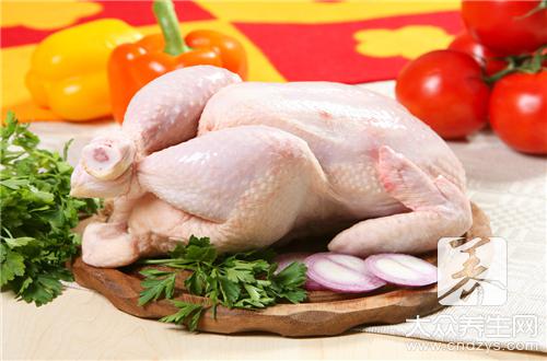 雞肉不能和什麼一起吃
