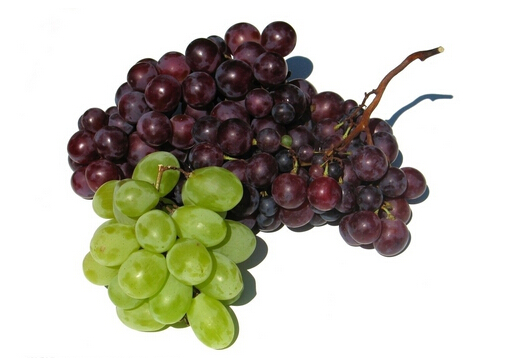 葡萄怎麼洗？葡萄干怎麼吃最有營養