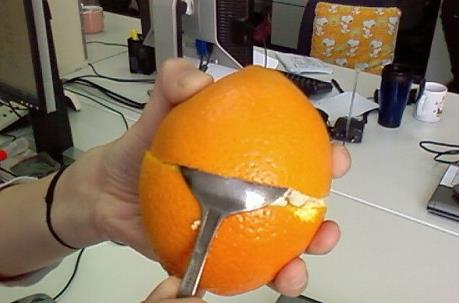 繞著橙子轉一圈