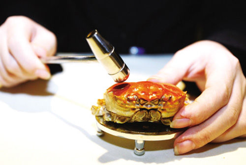 吃螃蟹的工具：用什麼工具能輕松吃大閘蟹又不浪費