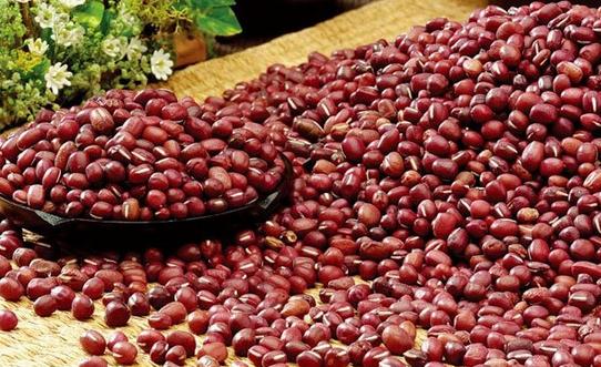 夏季赤小豆養生食譜