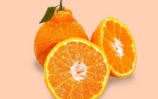 真的丑橘是咋樣的