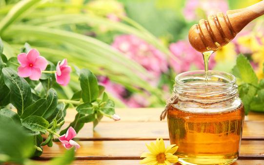 教你5招辨別優質蜂蜜