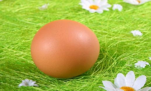 怎麼區分土雞蛋和洋雞蛋？