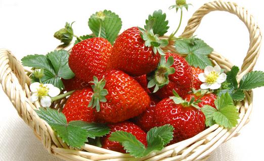 如何挑選新嫩多汁的草莓