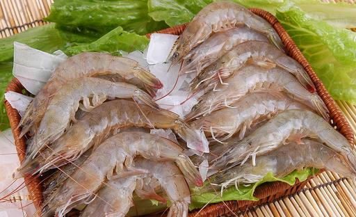 如何安全選購新鮮蝦類？四個竅門烹饪美味鮮蝦