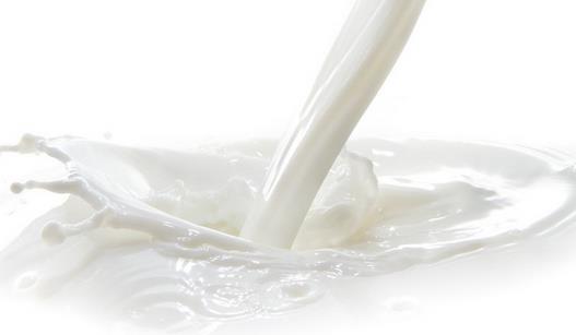 獨創小竅門辨別純鮮牛奶
