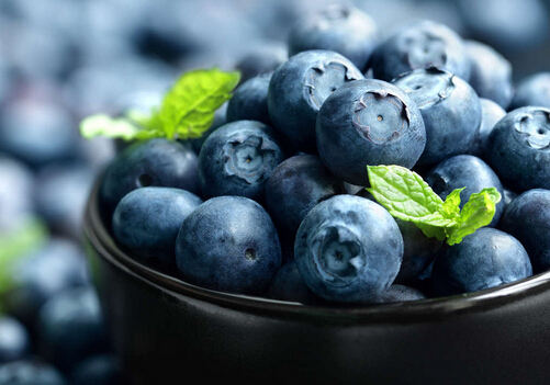 藍莓怎麼洗？怎麼挑選藍莓？
