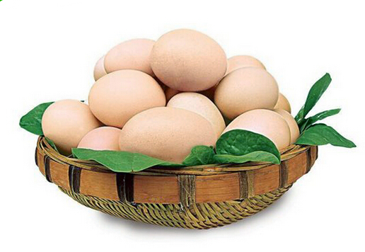 禽蛋類的介紹-蛋的基本常識