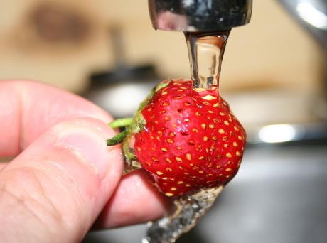 草莓怎麼洗？草莓的保存方法