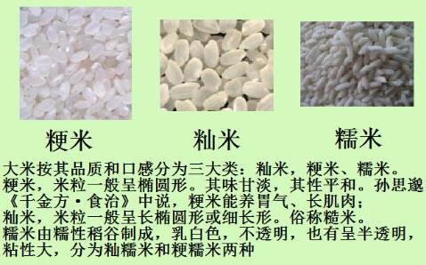 如何鑒別糯米中摻有大米？糯米和大米的區別