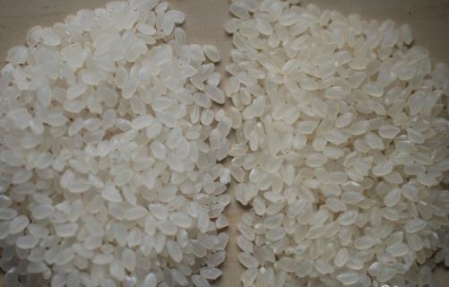 怎樣區分新米和陳米？如何辨別大米的質量