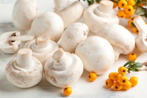 如何挑選新鮮蘑菇？什麼樣的蘑菇最新鮮