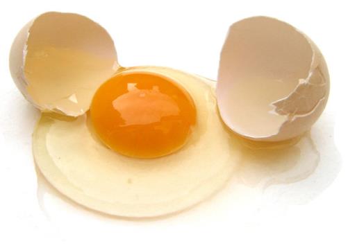 如何挑選保存新鮮雞蛋？雞蛋適宜怎樣吃營養最好
