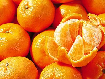 如何挑選柑桔-怎樣挑選柑橘