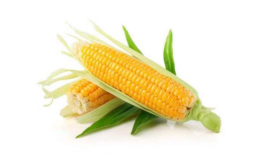 玉米有什麼營養價值？玉米的美味做法